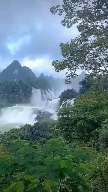 探索为什么我刚刚存进去的钱存成定期的然后钱就自动从卡里转出去了呢?的精彩世界-为什么我刚刚存进去的钱存成定期的然后钱就自动从卡里转出去了呢?红迪网