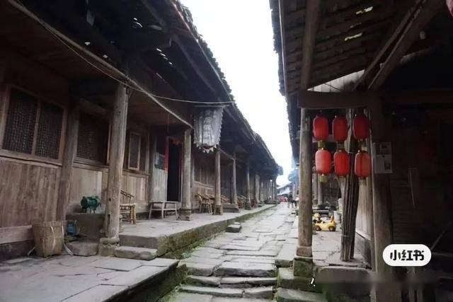 小猫钓鱼游戏龙王版有船